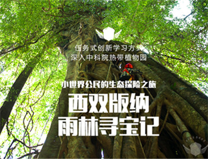 中国云南省天使和坚果派热带雨林探险营