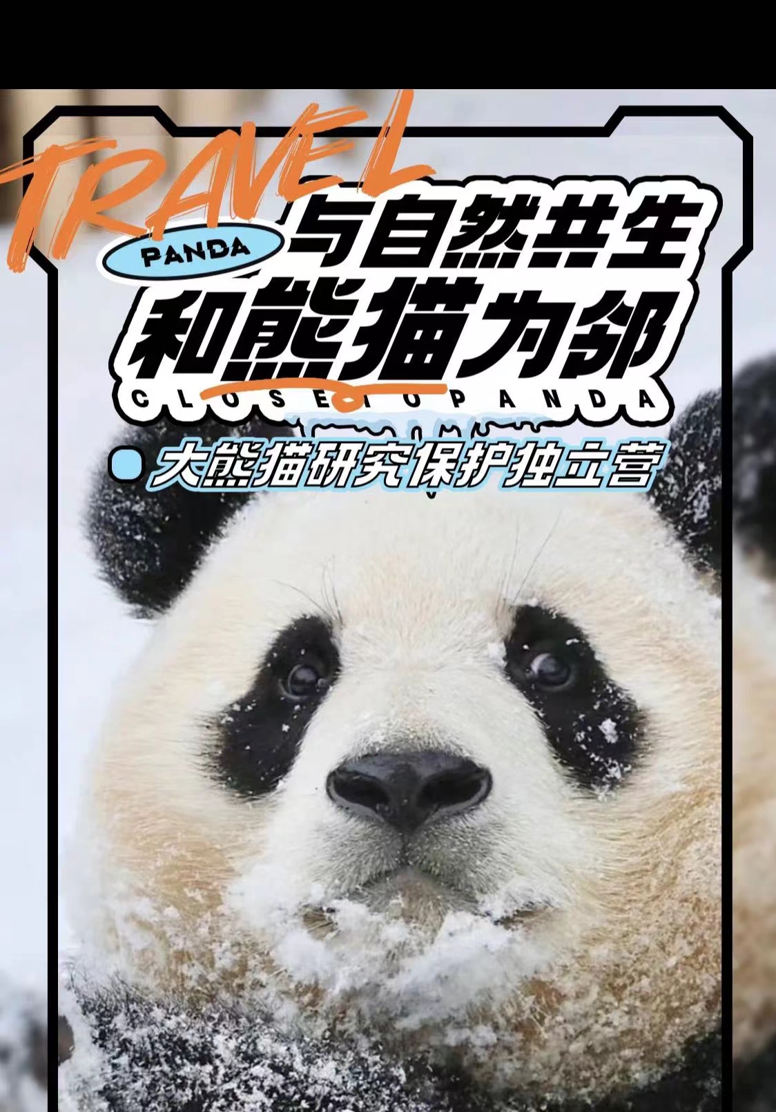 中国大熊猫研究保护冬令营 | 科考调研，课题学习涉及自然、地理、生物、数学，收获研学证书